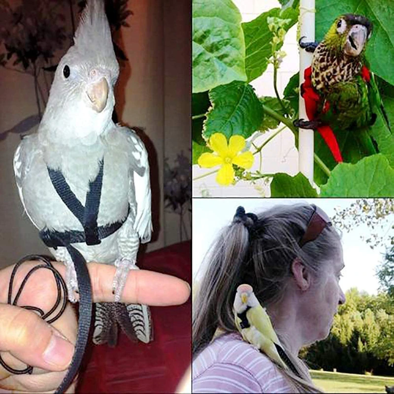 Parrot Bird Harness Leash Outdoor Activities Flying Traction Straps Band Flying Rope For Small Parakeets Cockatiels Bird NEW