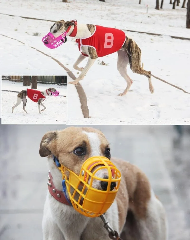Adjustable Dog Muzzle Plastic Mask Anti-Barking Bite Mouth Cover for Small/Medium/Large Greyhound-Random Colors