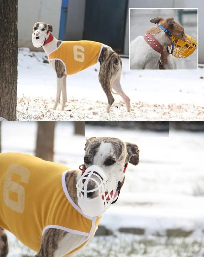 Adjustable Dog Muzzle Plastic Mask Anti-Barking Bite Mouth Cover for Small/Medium/Large Greyhound-Random Colors