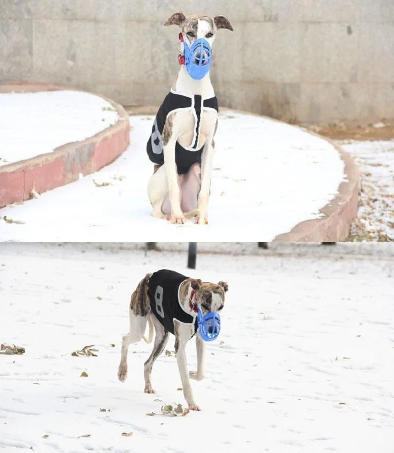 Adjustable Dog Muzzle Plastic Mask Anti-Barking Bite Mouth Cover for Small/Medium/Large Greyhound-Random Colors