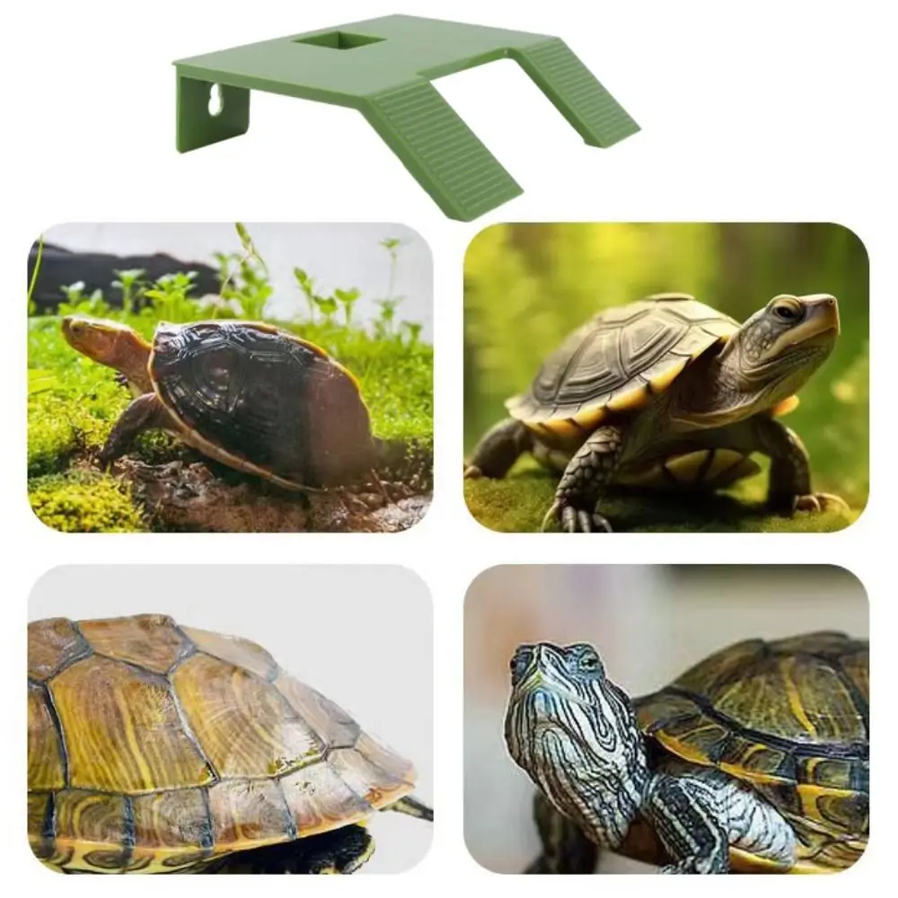 Tortoise Climbing Basking Platform Turtle Tank Floating Basking Platform For Aquatic Turtles Terrace