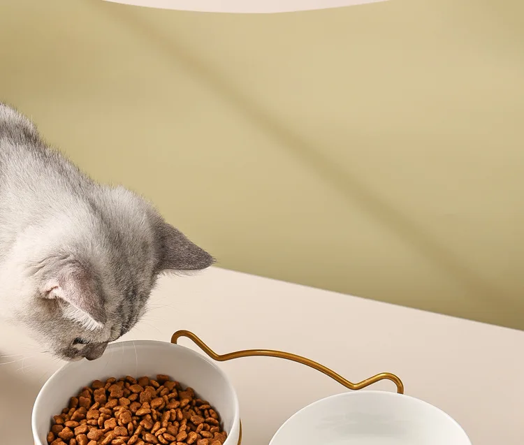 Ceramic Cat Bowl Cat Food Bowl Dog Bowl Drinking Water Bowl Food Bowl Cervical Protection Pet Supplies Ceramic Double Cat Bowl