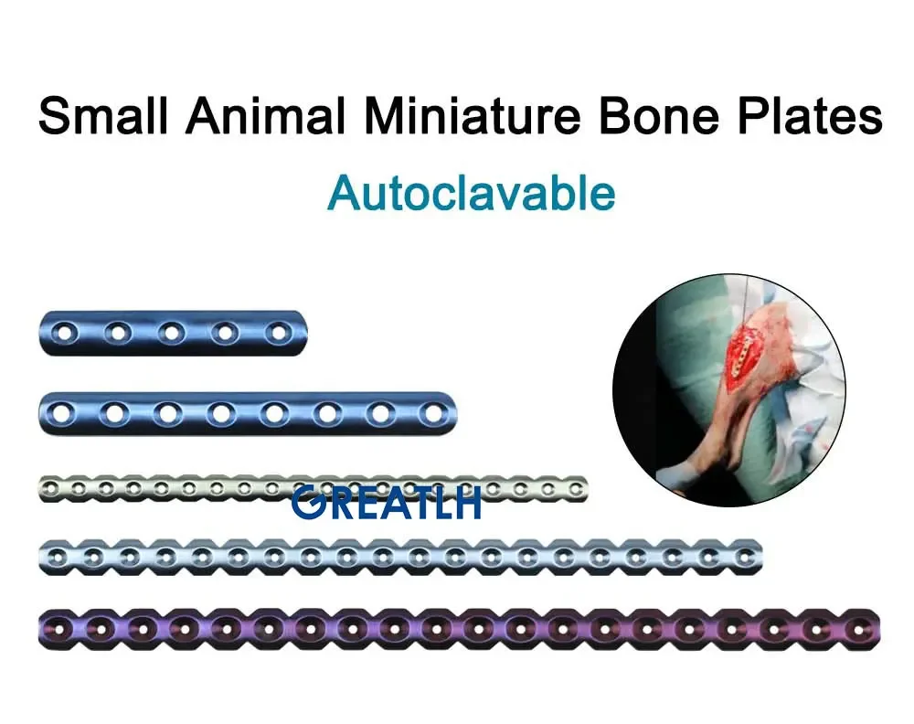 GREATLH Medical Bone Fracture Plate Reconstruction Bone Plate Titanium Small Animal Orthopedic Surgical Instruments