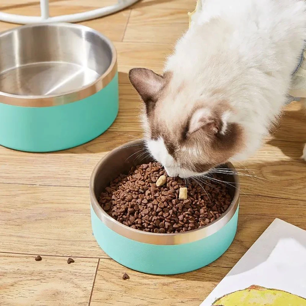 Custom Stainless Steel Dog Cat Bowl Double Vacuum Feeding Pet Bowl Large Capacity Dog Food Water Bowl Dog Accessories Puppy