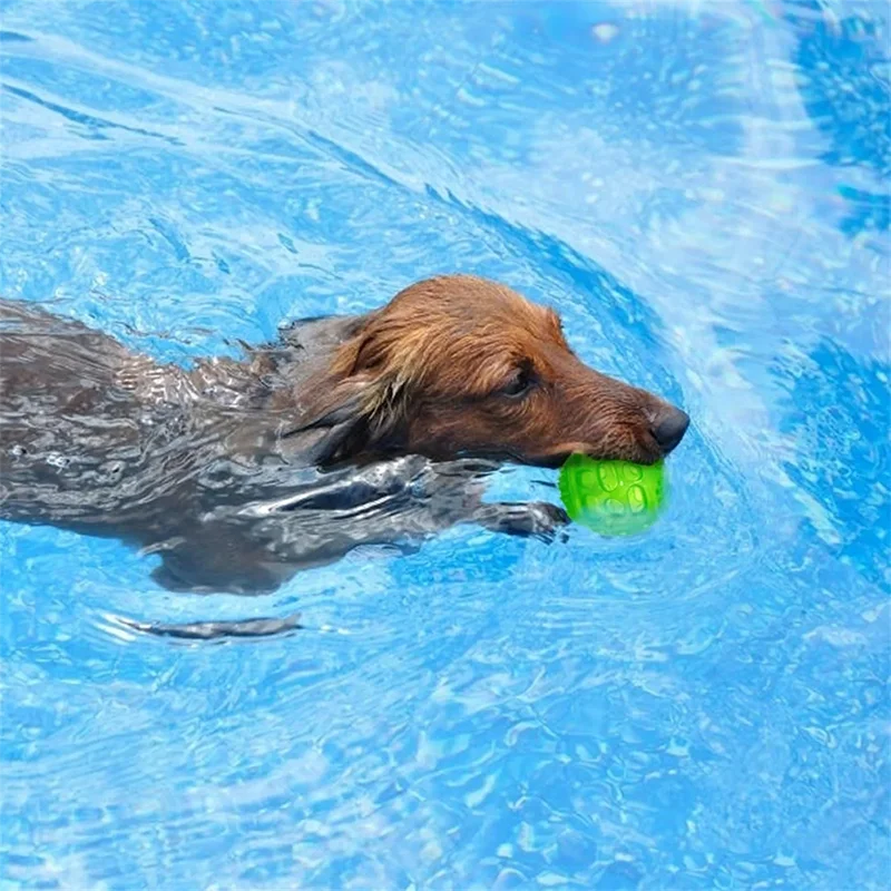 Pet Dogs Squeaking, Bouncing, Puzzle Balls Cleaning, Teeth Chewing, Toys Training, Accompanying Small and Medium-Sized Dogs