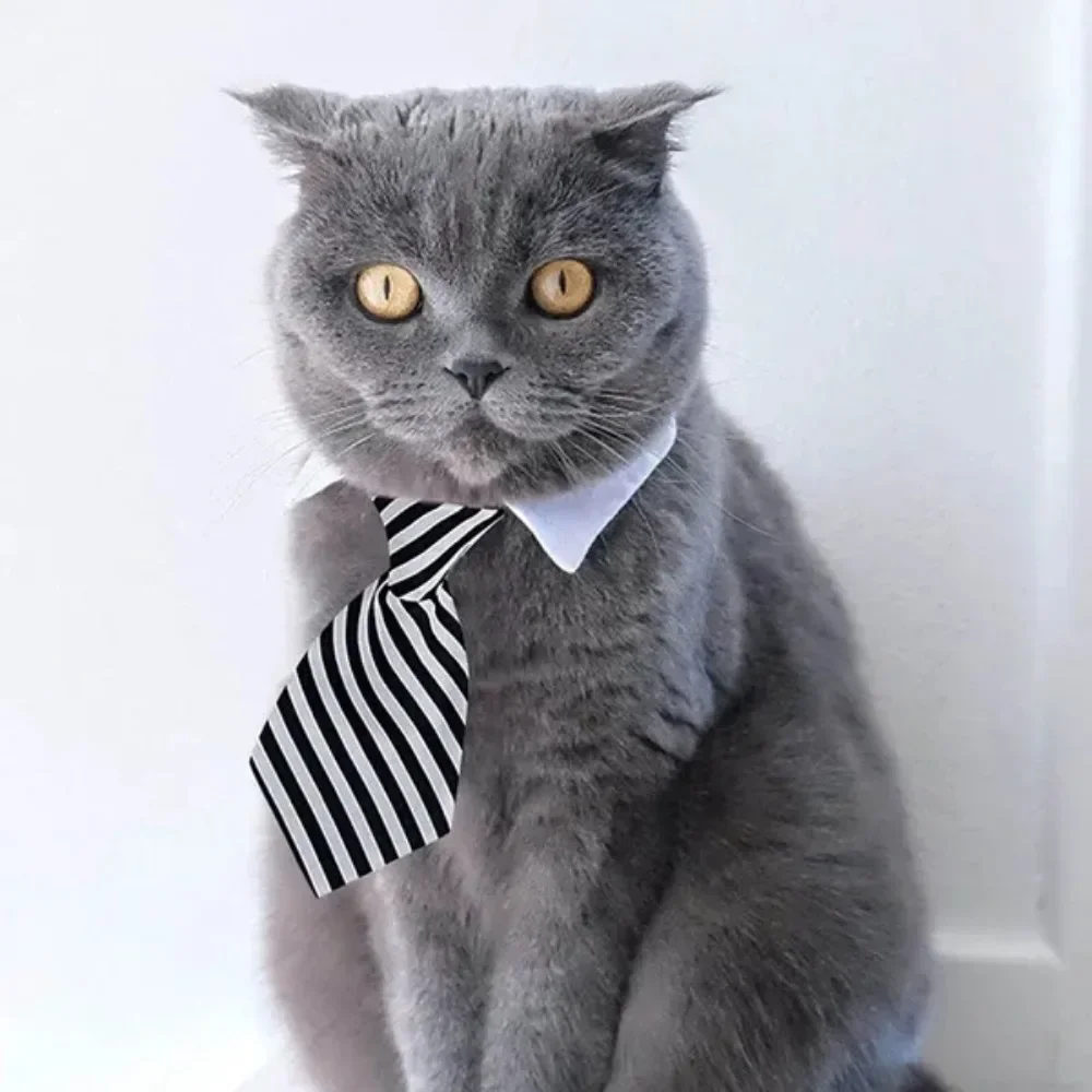 Pet Puppy Bow Tie Necktie - Adjustable Formal Dog Collar for Small Dogs and Cats, Puppy Grooming Costume Accessories