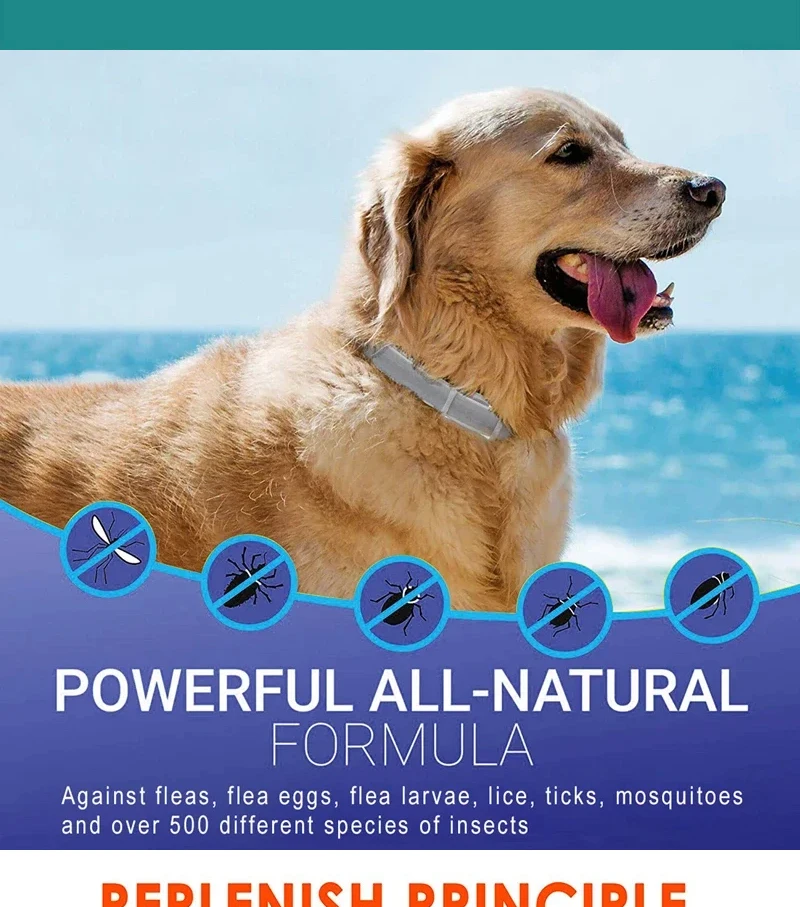 Dog Anti Flea And Tick Collars Pet 8 Month Protection Adjustable Collar For Large Dog Puppy Cat Leashes Dogs Accessories