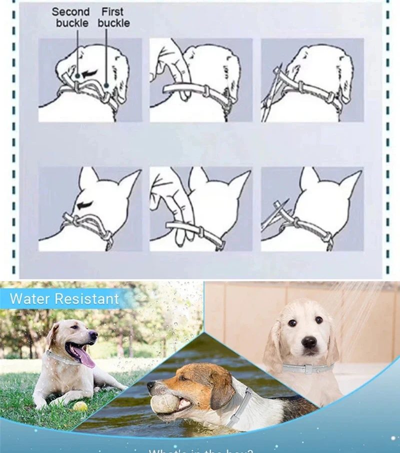 Dog Anti Flea And Tick Collars Pet 8 Month Protection Adjustable Collar For Large Dog Puppy Cat Leashes Dogs Accessories
