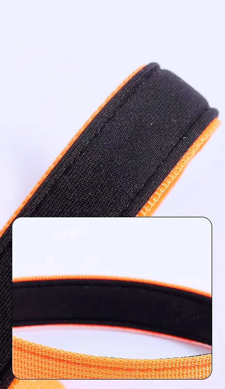 Dog Leash Colorful Long Dogs Leash 2M Pet Chain Nylon Leashes for Dog Walking Comfortabe Handle Dogs Leashes 160cm Pet Supplies