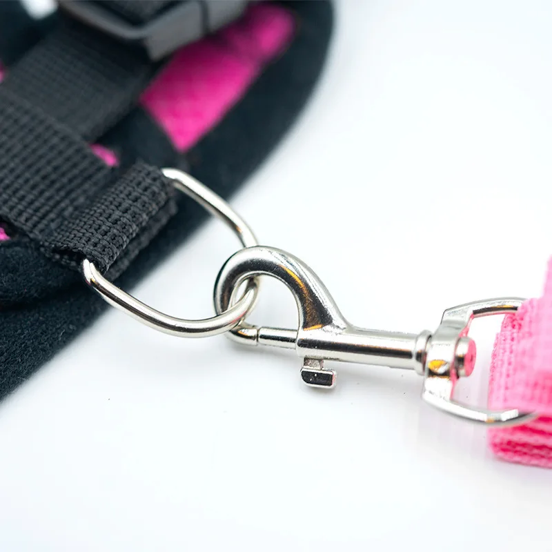 Hot summer small dog pet chest and back breathable dog chest and back suit cat outdoor traction rope child collar