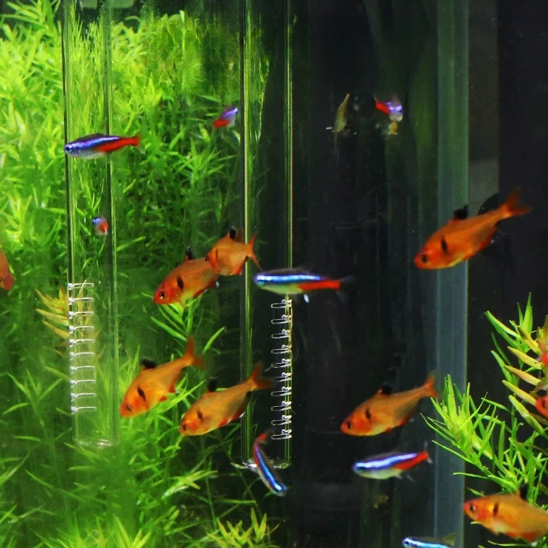13mm/17mm High Borosilicate Glass Aquarium Inflow/Outflow Pipe - Fish Tank Filter Tube for Freshwater, Saltwater & Planted Tanks