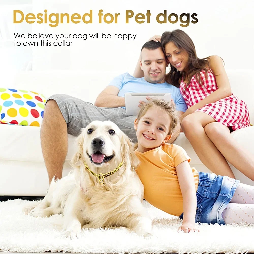 Golden Stainless Steel Dog Necklace P Chain Titanium Steel Dog Collar for All Stage Dog Breeds for Pet Training