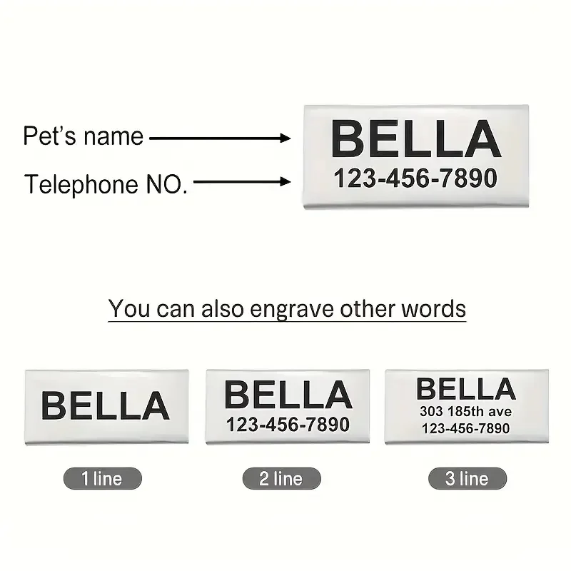 Personalized Cat Collar with Bell Buckle Customized Nametag Puppy Kitten Necklace Free Engraved Name ID Tag Nameplate