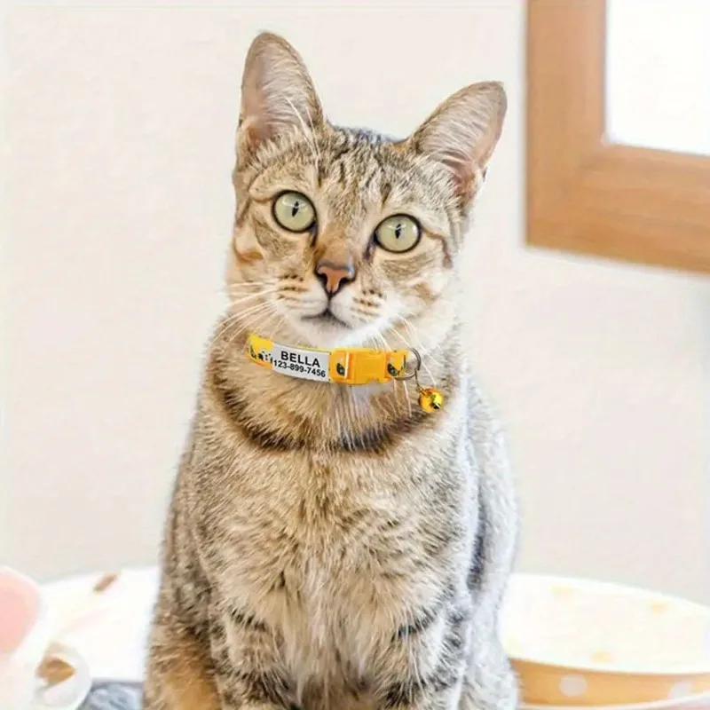 Personalized Cat Collar with Bell Buckle Customized Nametag Puppy Kitten Necklace Free Engraved Name ID Tag Nameplate