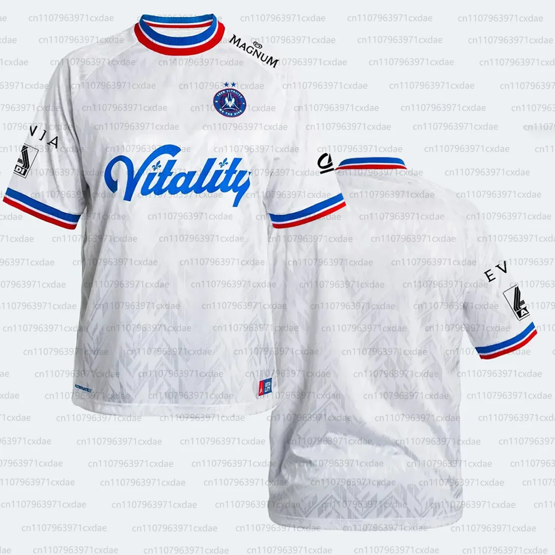 Two Stars Vitality Team 2025 26 CS2 EPL Jerseys ZywOo Fans Fashion Streetwear Uniform Esports Club 3D Print Round Neck T-shirt