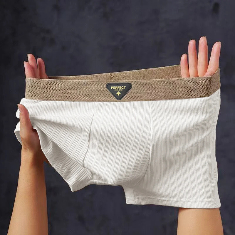 1/4pcs Pack Men Panties Cotton Underwear High Stretch Boxer Shorts Fashionable Sexy Men Underpant Plus Size L-4XL Breathable Men