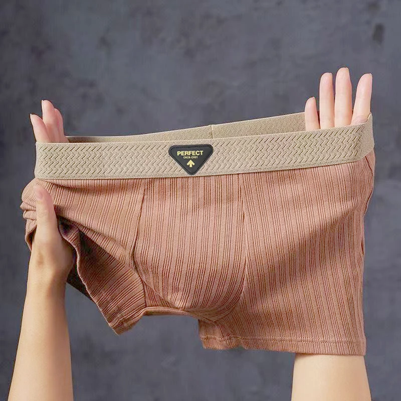 1/4pcs Pack Men Panties Cotton Underwear High Stretch Boxer Shorts Fashionable Sexy Men Underpant Plus Size L-4XL Breathable Men
