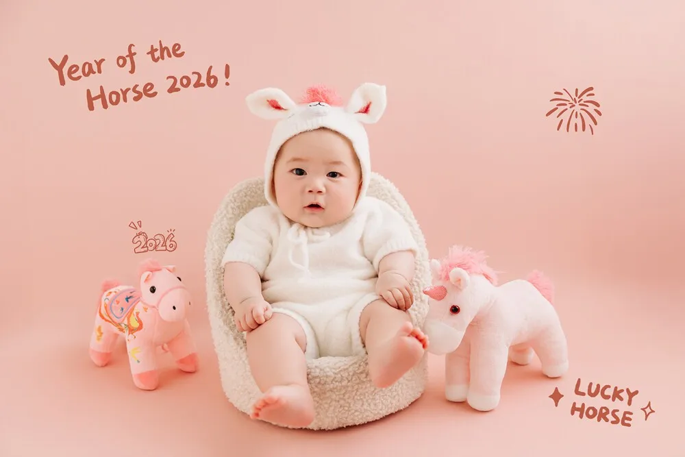 Newborn Photography Props 2026 Pink Horse Year Theme Set Blanket Outfit Set Horses Doll Decors for Studio Photoshoot Clothing