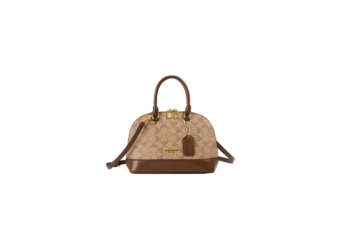 Paris fashion designer women's shoulder bag elegant women's chain strap crossbody bag luxurious zipper small square bag