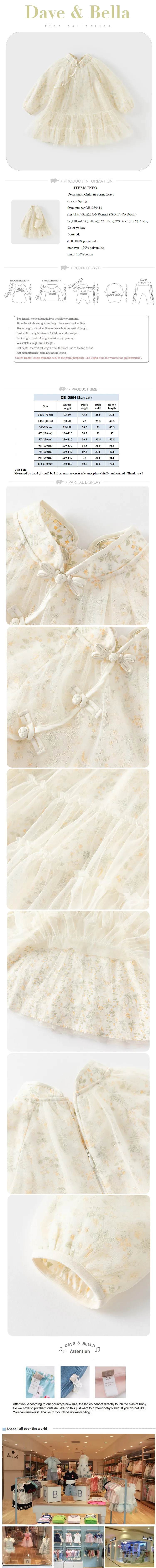 Dave Bella Spring Girl's Dress Elegant Mesh Embroidery 2025 New Charm Gentle Children's Princess Dress Party Outdoor DB1250413