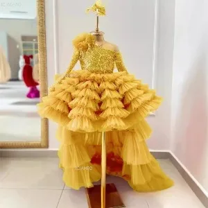 Kids Girl Party Princess Dress with Train Children Piano Girl Wedding Evening Party Celebration Performance Pageant Gown Flower