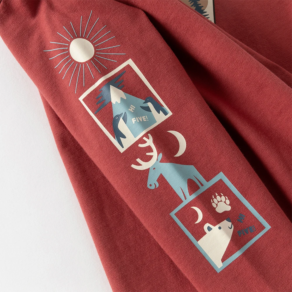 Dave Bella Boys Long Sleeve T-Shirt Kids Cartoon Printed Autumn Spring T-shirt Tops Baby Cotton Casual Outdoor Clothes DB3252796