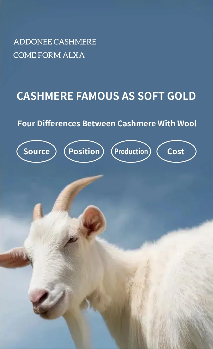 ADDONEE Children Cashmere Polo Pullover Autumn Winter Thick Warm 100% Cashmere Sweater Kid Clothes Cable Knit High Quality