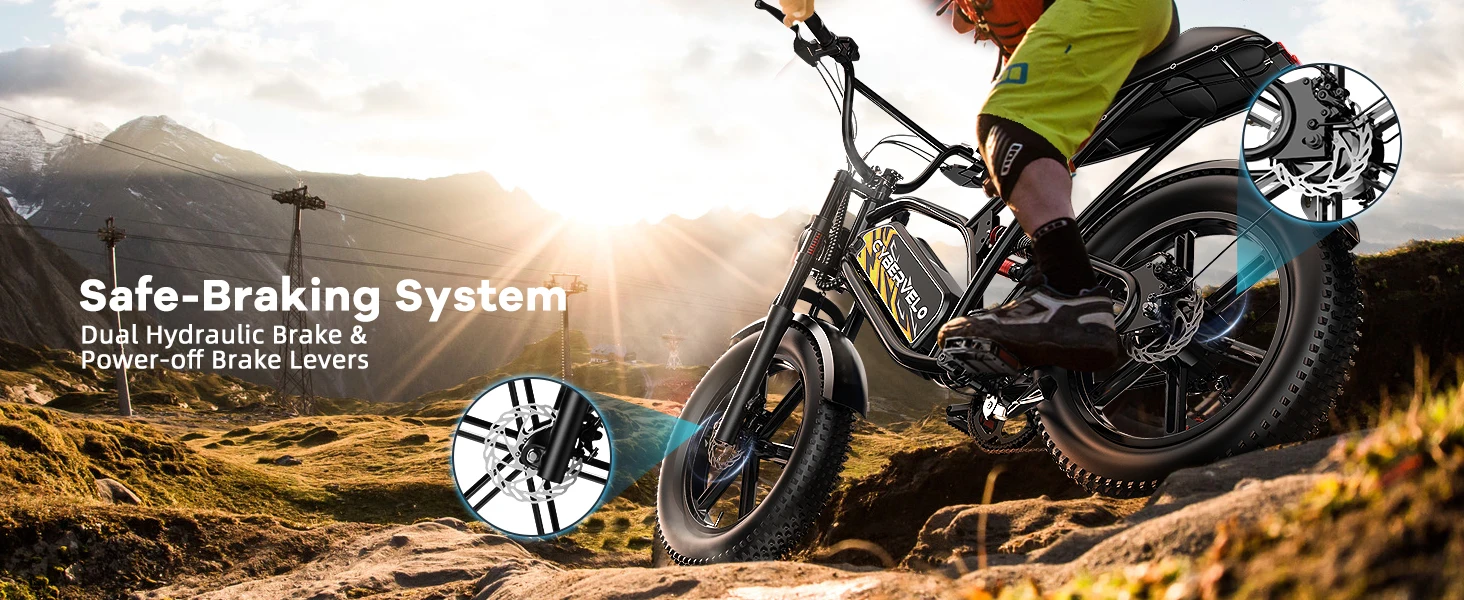 Cybervelo 1000W Electric Bike for Adults 20" Fat Tire All-Terrain E-Bike 48V 20AH/30AH Removable Battery 30MPH Electric Dirt Bike EK11