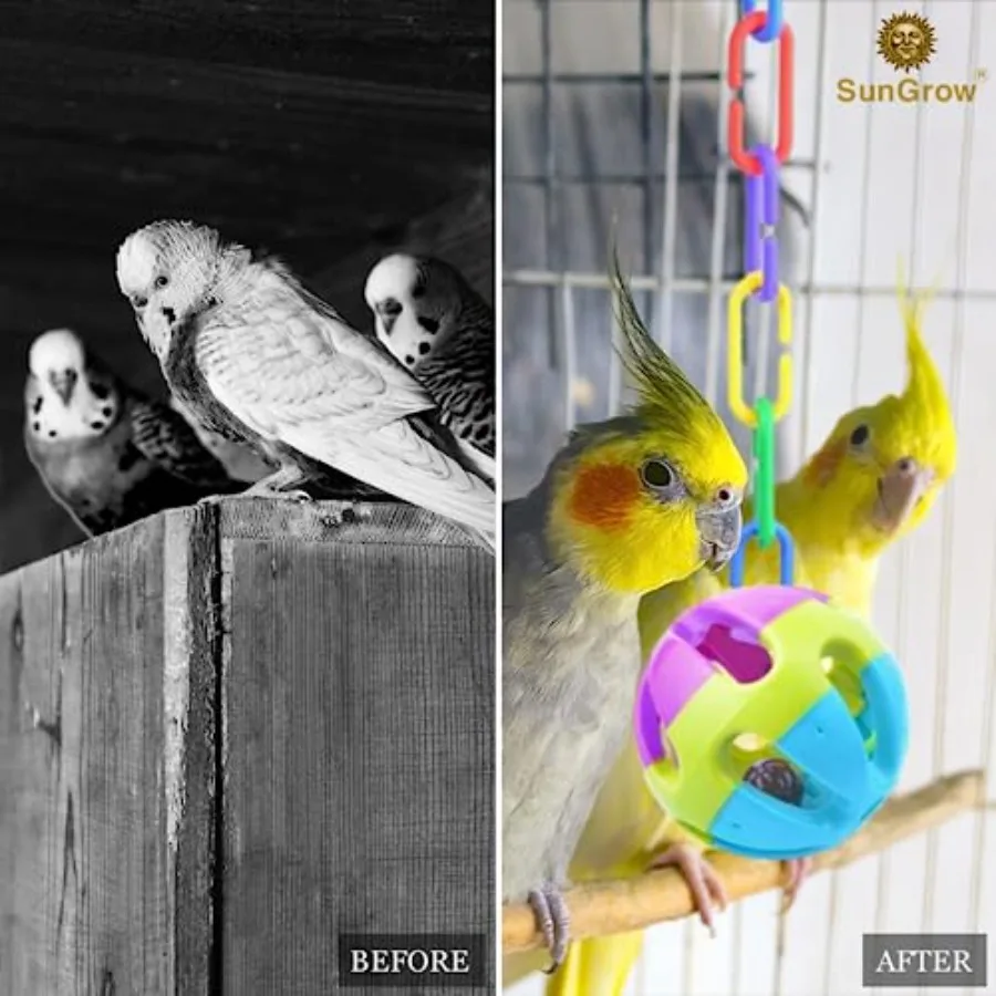 Rainbow C-Clips plastic chain links for bird swing climbing cage toys, multicolor, durable non-toxic plastic, easy DIY classroo