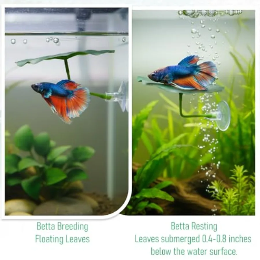3 Pcs Betta Fish Leaf Hammock for Aquarium Decoration, Green Plastic Resting Spot with Suction Cup, Practical Breeding and Rest