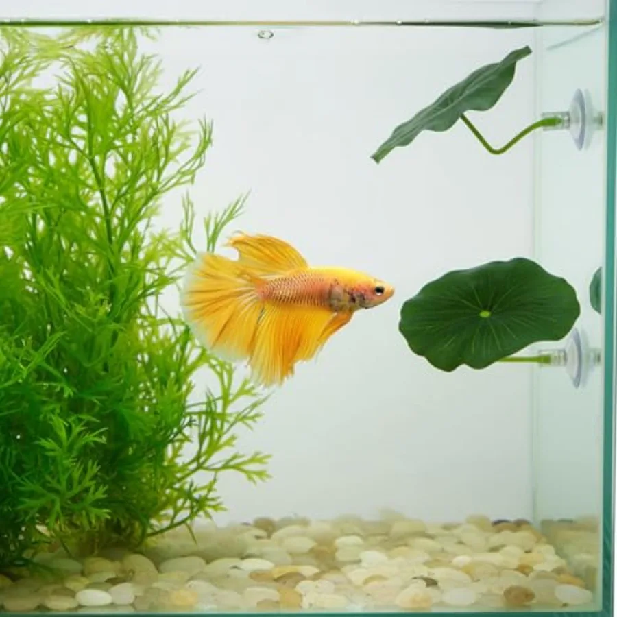 3 Pcs Betta Fish Leaf Hammock for Aquarium Decoration, Green Plastic Resting Spot with Suction Cup, Practical Breeding and Rest