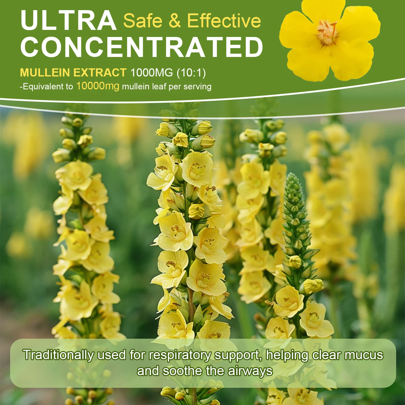 Lukaree 5 IN 1 Mullein Drop with Elderberry & Bromelain Lung Cleanse &Detox for Smokers,Mucus Relief & Respiratory Support Alcohol-Free Antioxidant Support