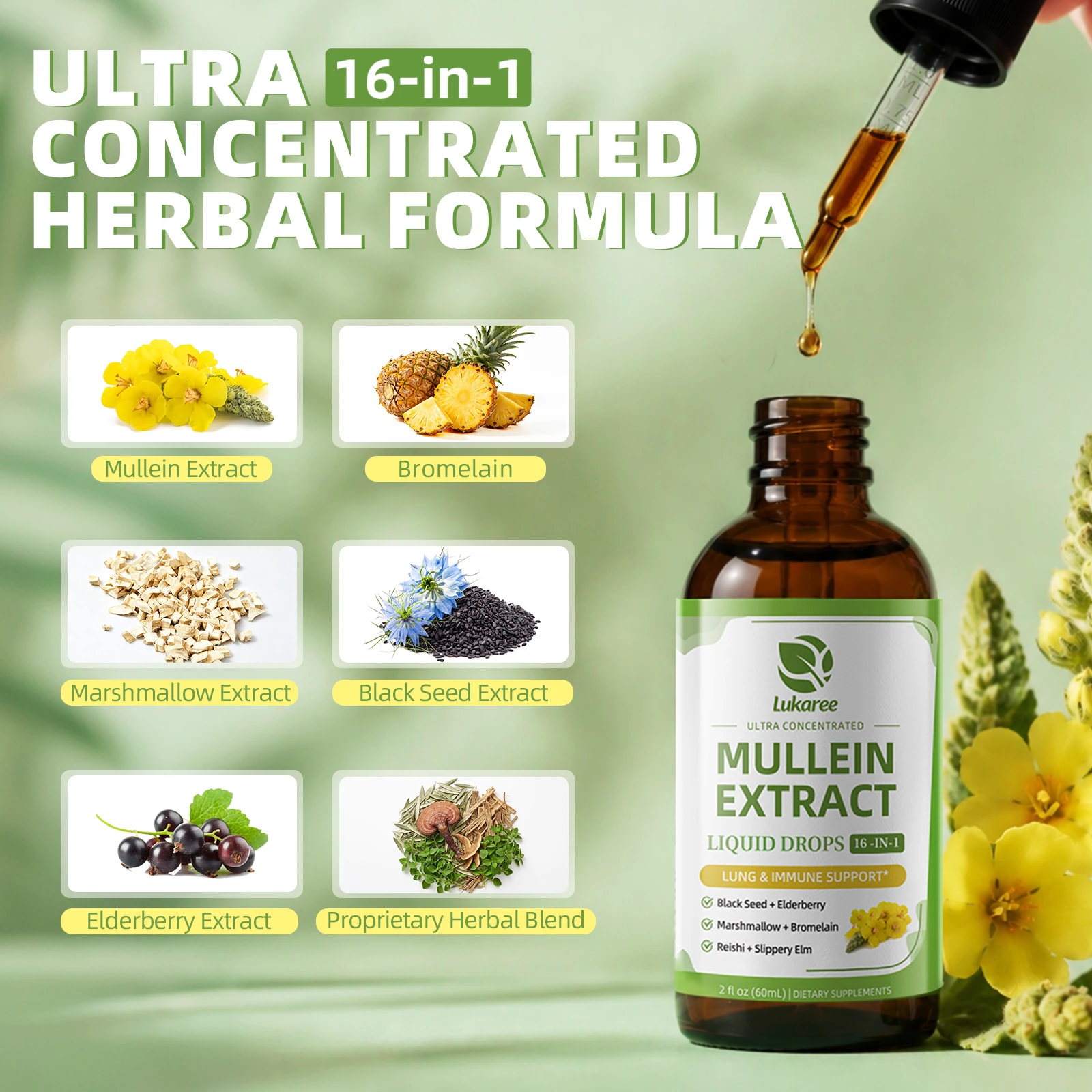 Lukaree 5 IN 1 Mullein Drop with Elderberry & Bromelain Lung Cleanse &Detox for Smokers,Mucus Relief & Respiratory Support Alcohol-Free Antioxidant Support