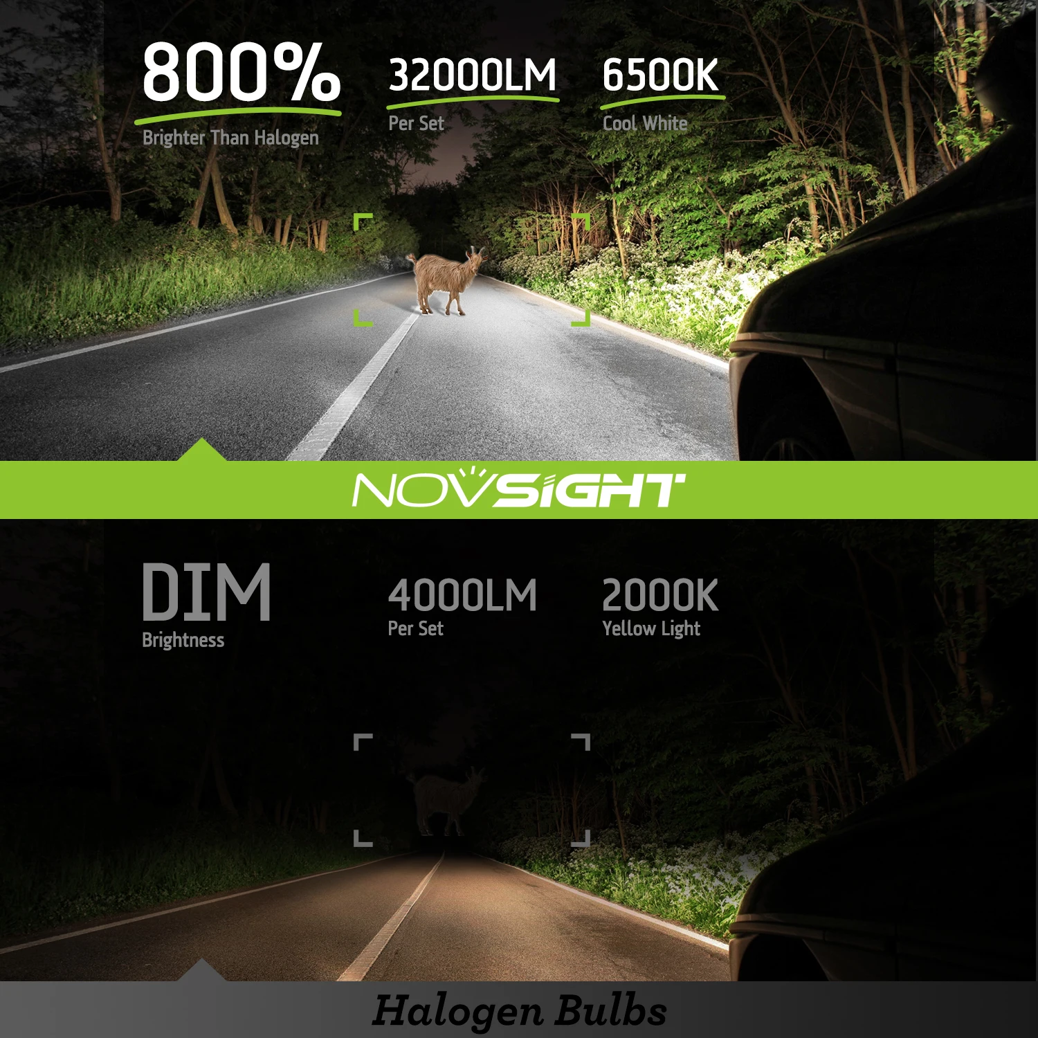 NOVSIGHT N67EP Series LED Car Headlight Bulbs H11 H8 H9 Canbus Car Lamp 6500K 140W 55000LM Super Bright For Universal Auto Model