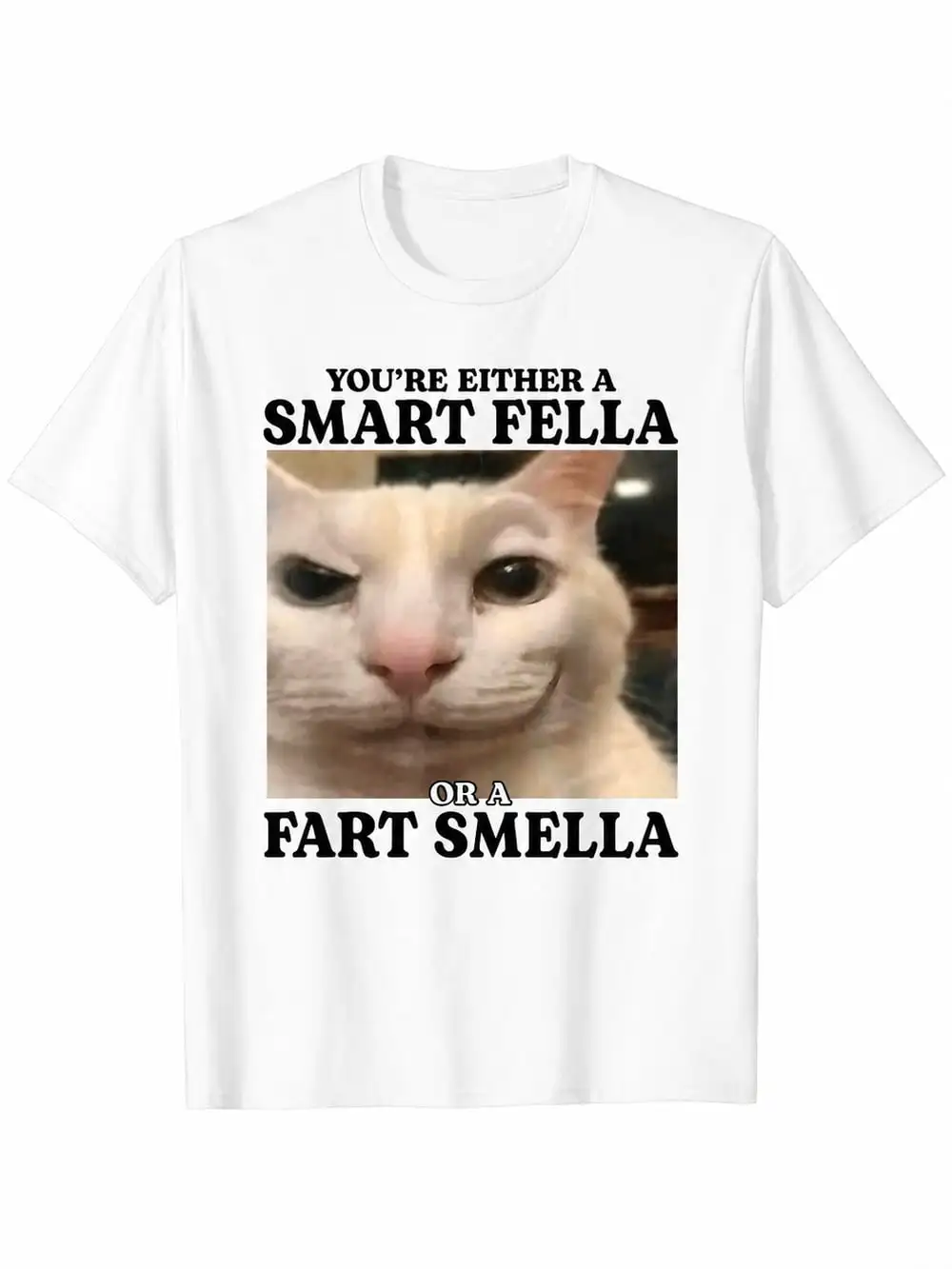 You're Either A Smart Fella Or A Fart Smella Funny Cat Meme T-Shirt Cotton Casual Streetwear Tee Regular Fit Round Neck Short Sleeve All-Season
