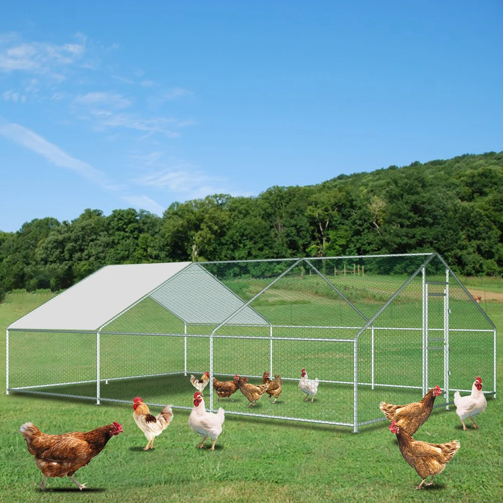 Heavy-Duty Large Metal Chicken Coop Run 6M X 3M 20ft X 10ft Sturdy Metal Frame Outdoor Backyard Garden Farm Poultry Pen for Hens Ducks Rabbits