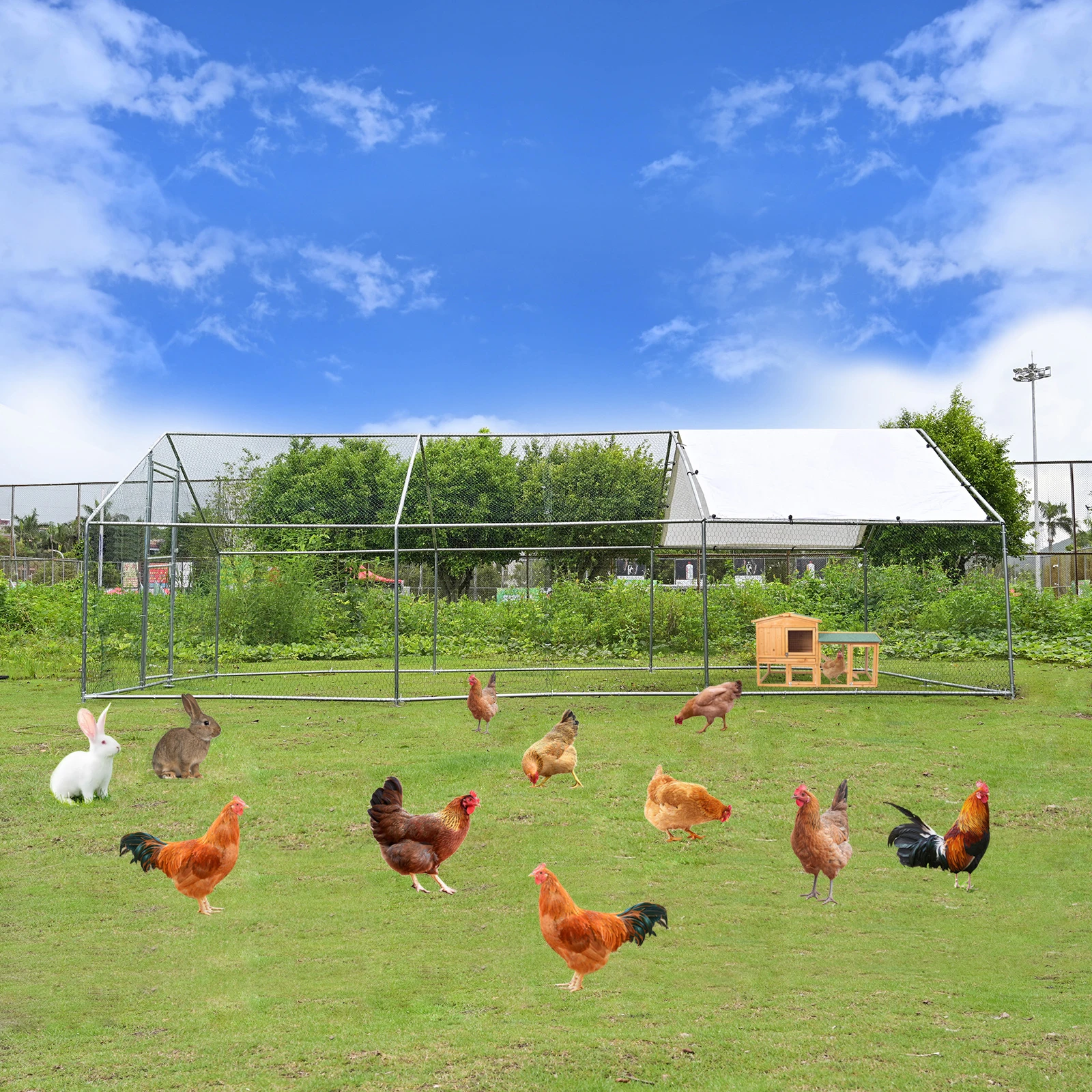 Heavy-Duty Large Metal Chicken Coop Run 6M X 3M 20ft X 10ft Sturdy Metal Frame Outdoor Backyard Garden Farm Poultry Pen for Hens Ducks Rabbits