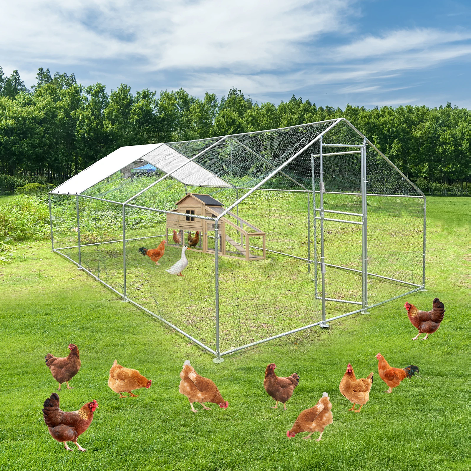 Heavy-Duty Large Metal Chicken Coop Run 6M X 3M 20ft X 10ft Sturdy Metal Frame Outdoor Backyard Garden Farm Poultry Pen for Hens Ducks Rabbits