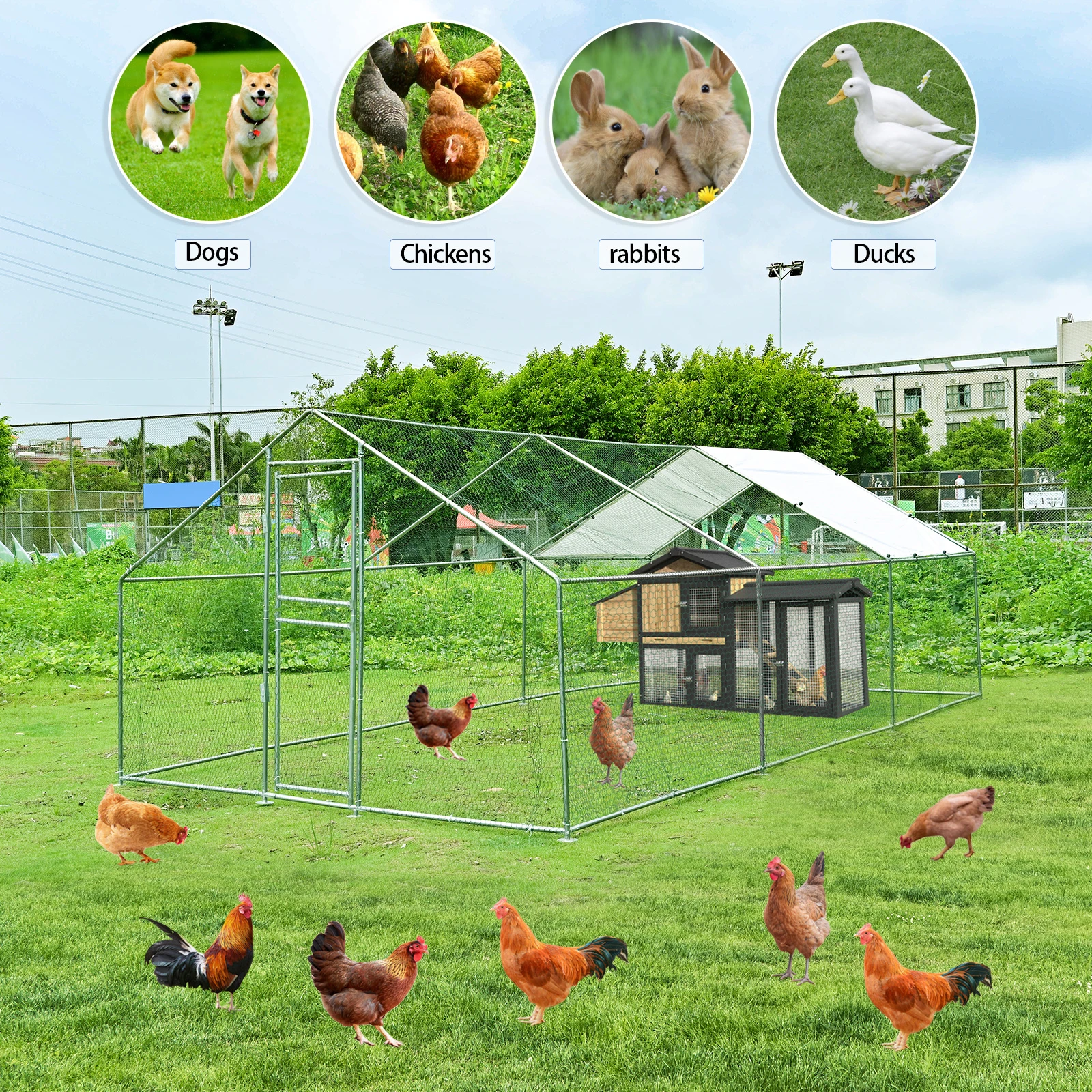 Heavy-Duty Large Metal Chicken Coop Run 6M X 3M 20ft X 10ft Sturdy Metal Frame Outdoor Backyard Garden Farm Poultry Pen for Hens Ducks Rabbits