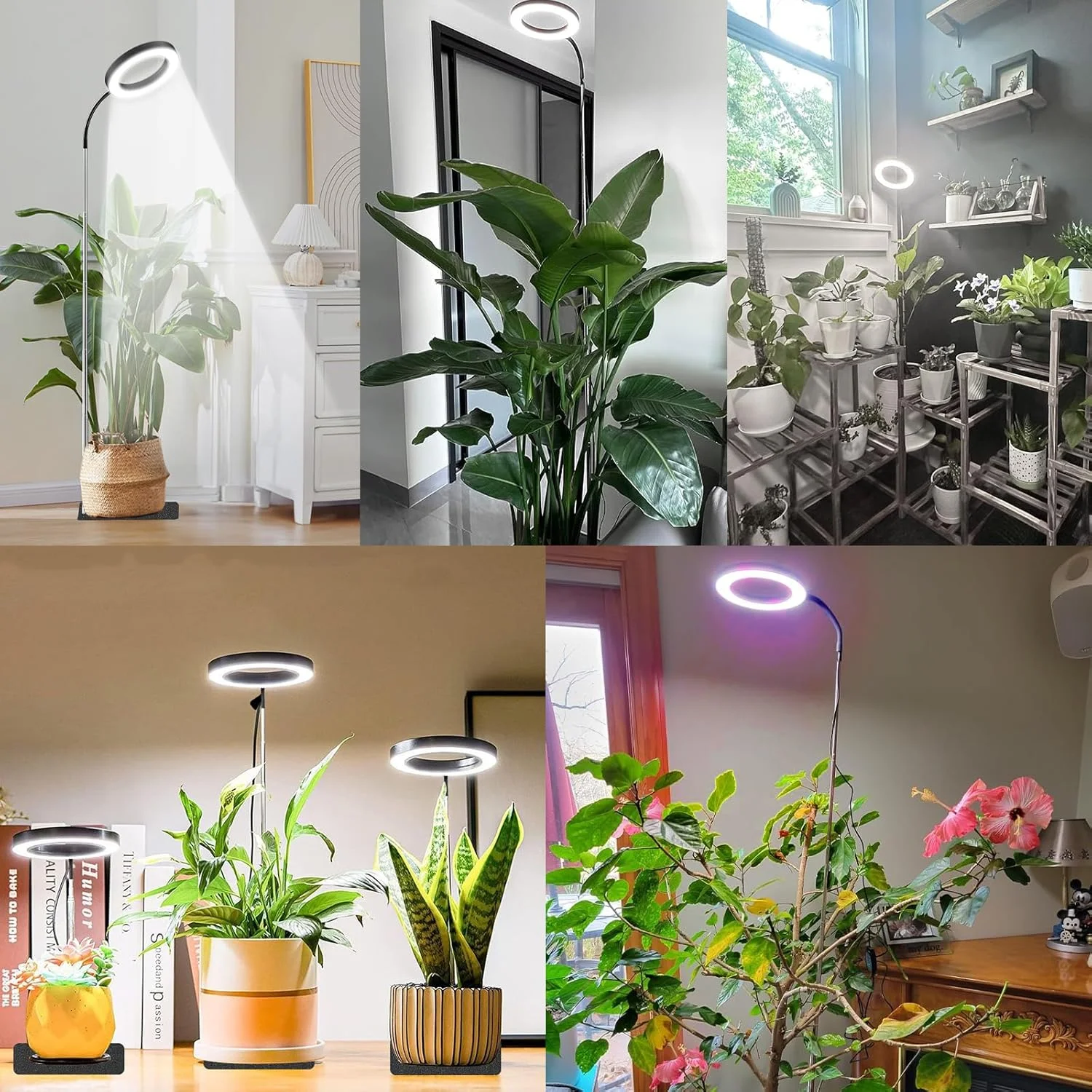 72 LEDs Full Spectrum Plant Grow Light 65 Inch Adjustable Height Automatic Timer with 3/9/12 Hours 10-Level Brightness 360 Degree Gooseneck for Indoor Plants Homes Offices