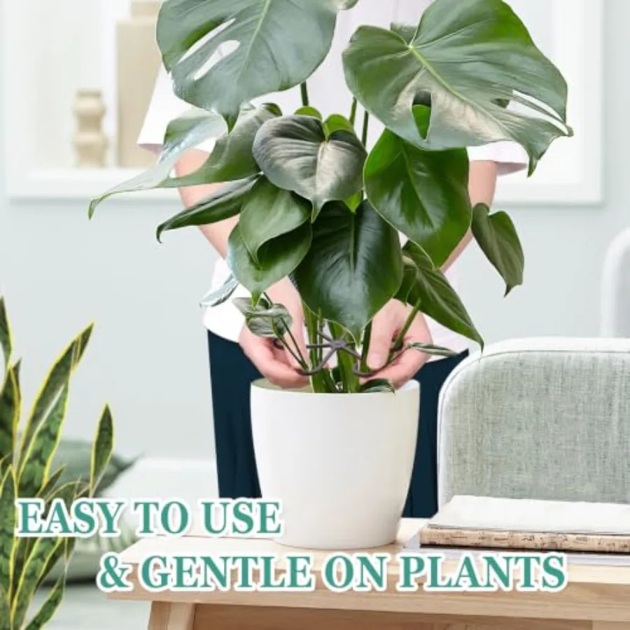 8PCS indoor plant stem support clips for Monstera, metal alloy with black matte finish, rust-resistant and adjustable for flexi