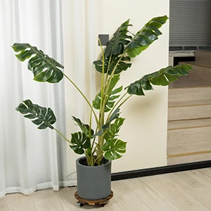 2Pack 12'' Wood Plant Caddy Rolling Plant Stand with 2 Lockable 360° Caster Wheels Indoor Outdoor Patio Flower Pot Succulent Pots Duty