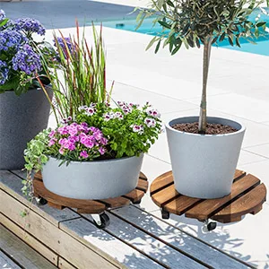 2Pack 12'' Wood Plant Caddy Rolling Plant Stand with 2 Lockable 360° Caster Wheels Indoor Outdoor Patio Flower Pot Succulent Pots Duty