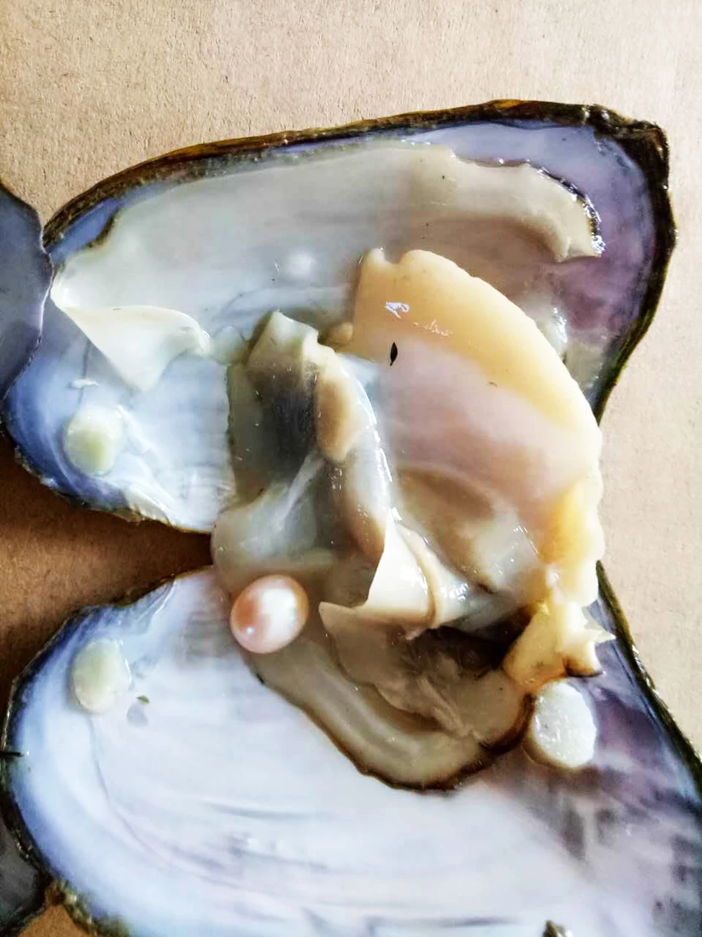 50pcs/Lot Natural Cultured Oyster Freshwater Pearl Mixed Colors Shape for Jewelry Making DIY Handmade Love Wish Gift