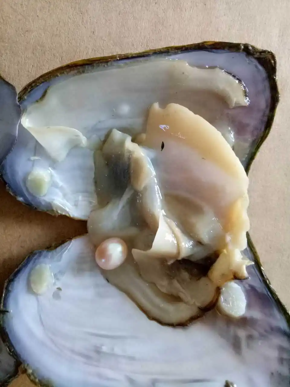 50pcs/Lot Natural Cultured Oyster Freshwater Pearl Mixed Colors Shape for Jewelry Making DIY Handmade Love Wish Gift