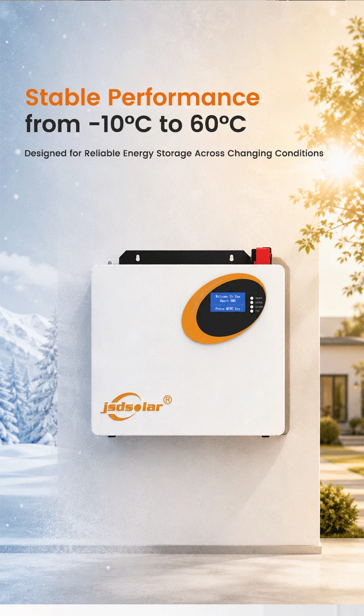 Jsdsolar 25.6V 100Ah LiFePO4 Battery 100A BMS 2560Wh Solar Lithium Iron Phosphate Battery 6000+ Cycles CAN RS485  For Solar Power System