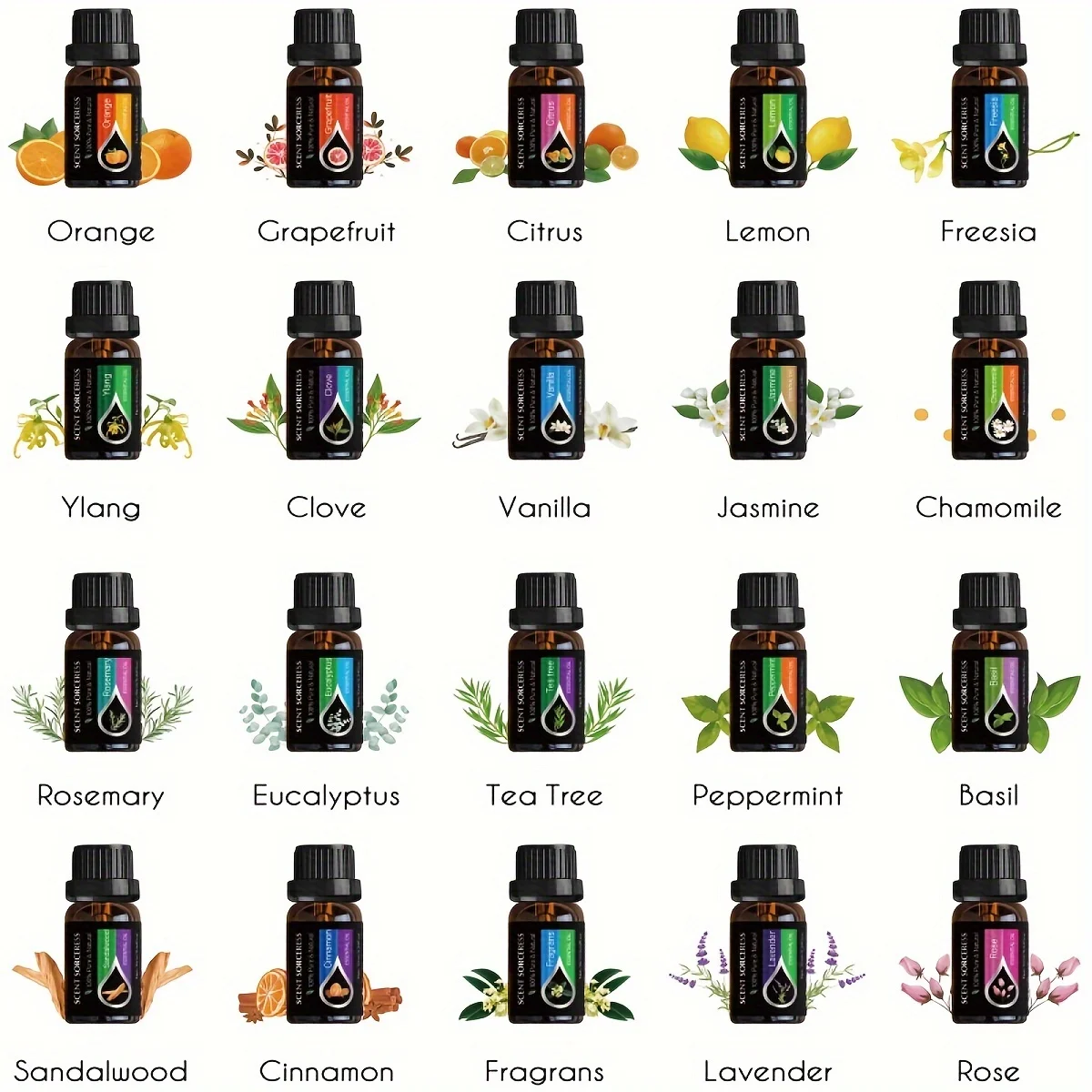 20pcs/set Essential Oil Set Lavender Eucalyptus Sweet Orange Lemon Massage Spa Aromatherapy Fragrance Oil for Humidifier Diffuse