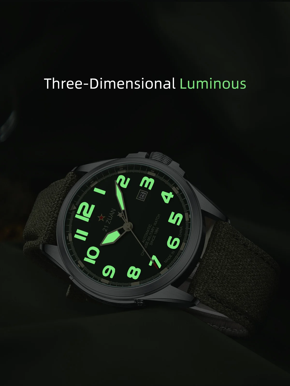 Seagull Luxury Bracelet Military Men Watch Automatic Mechanical Watches For Men Wear Resistant Leather Strap Luminous Clock D581