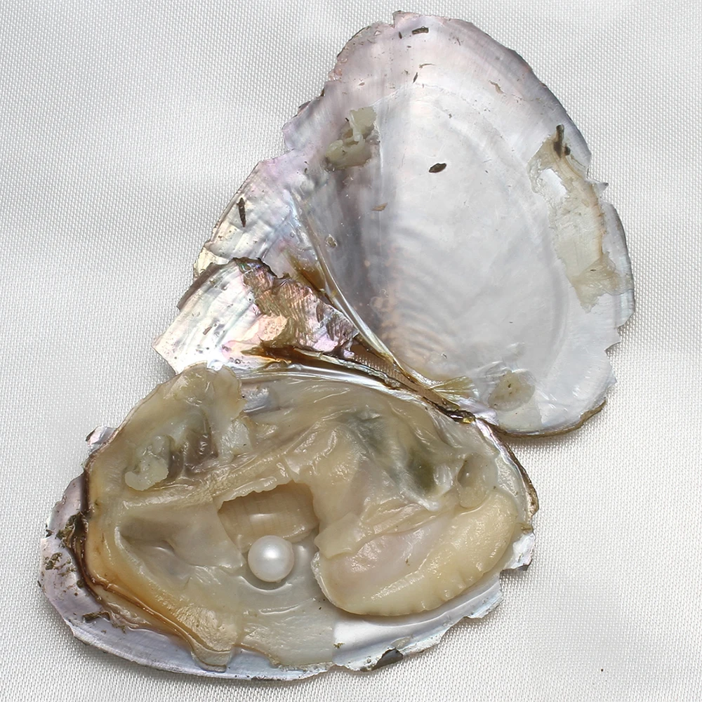 7-8MM AA+ Single Pearl Vacuum-pack Oyster Beautiful & Interesting Nature Gifts Cultivate High-quality Pearls 10PCs/Lot