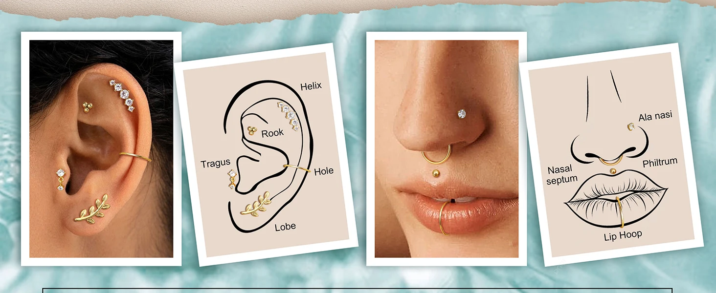 22Pcs 16G Cartilage Earrings for Women-Surgical Stainless Steel Earring Set Flat Back Earrings Nose Studs Helix Piercing Jewelry
